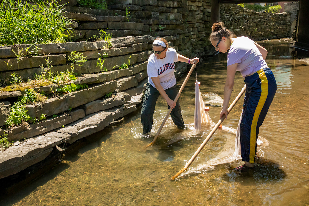 A female undergraduate research assistant and a female animal biology professor collect fish specimens